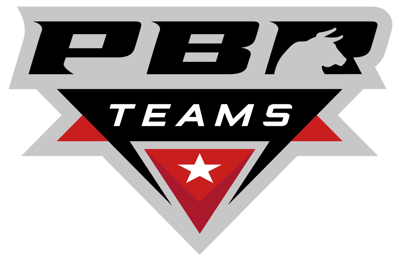 PBR TEAMS Logo